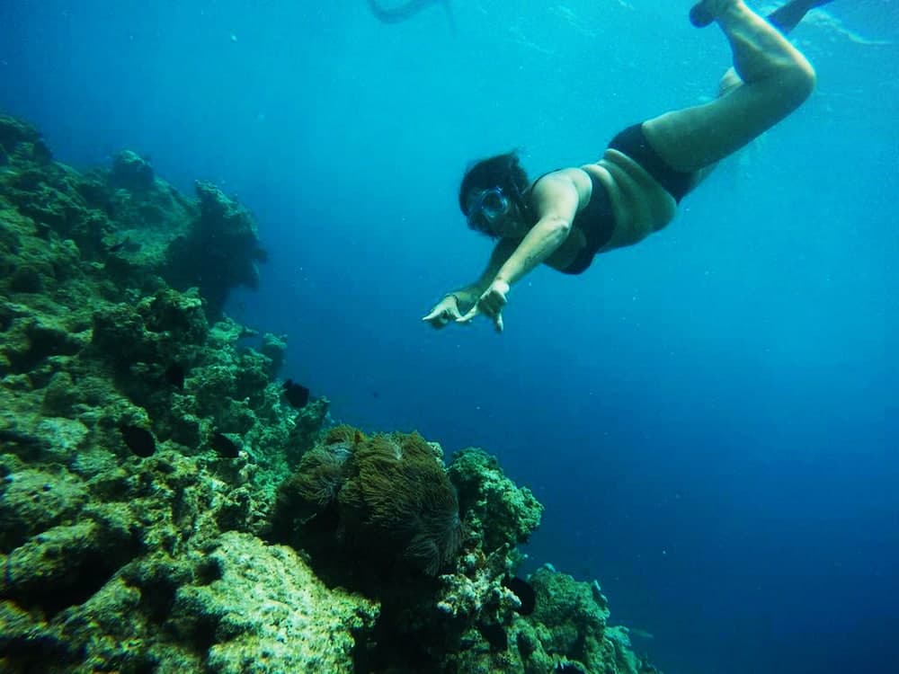 Adroit Beach Inn - View 116