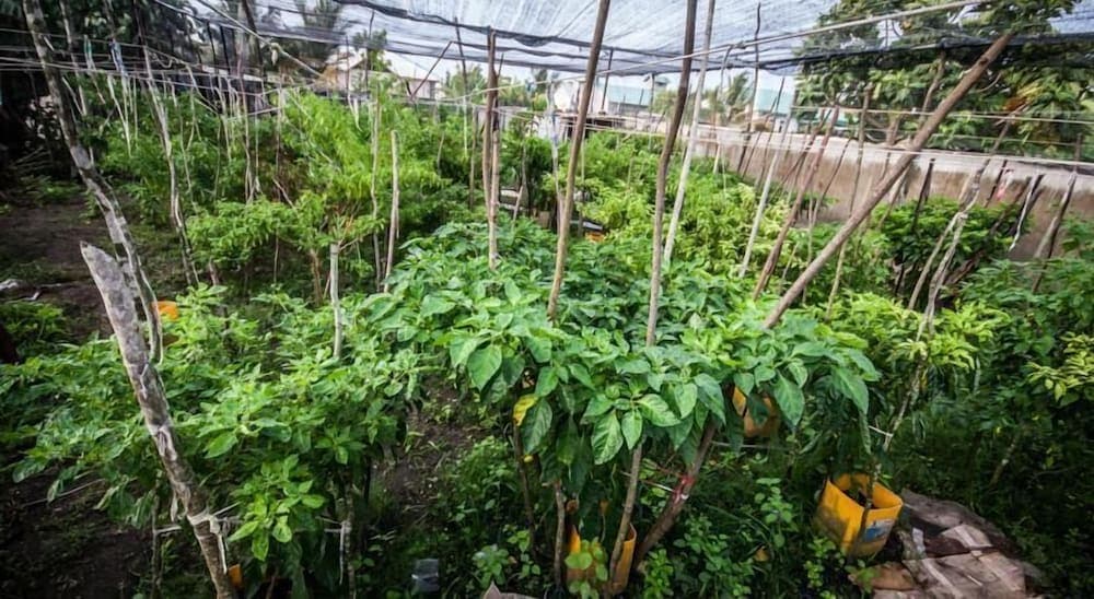 Asuruma View hotel - View 25