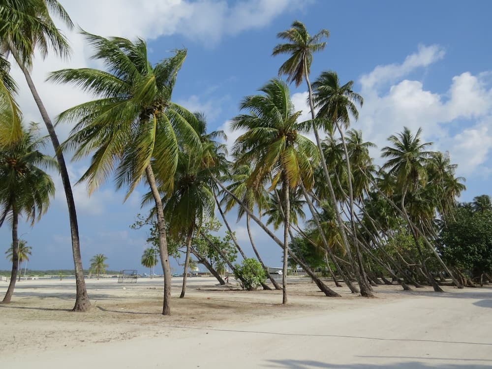 Smera Grand - View 12