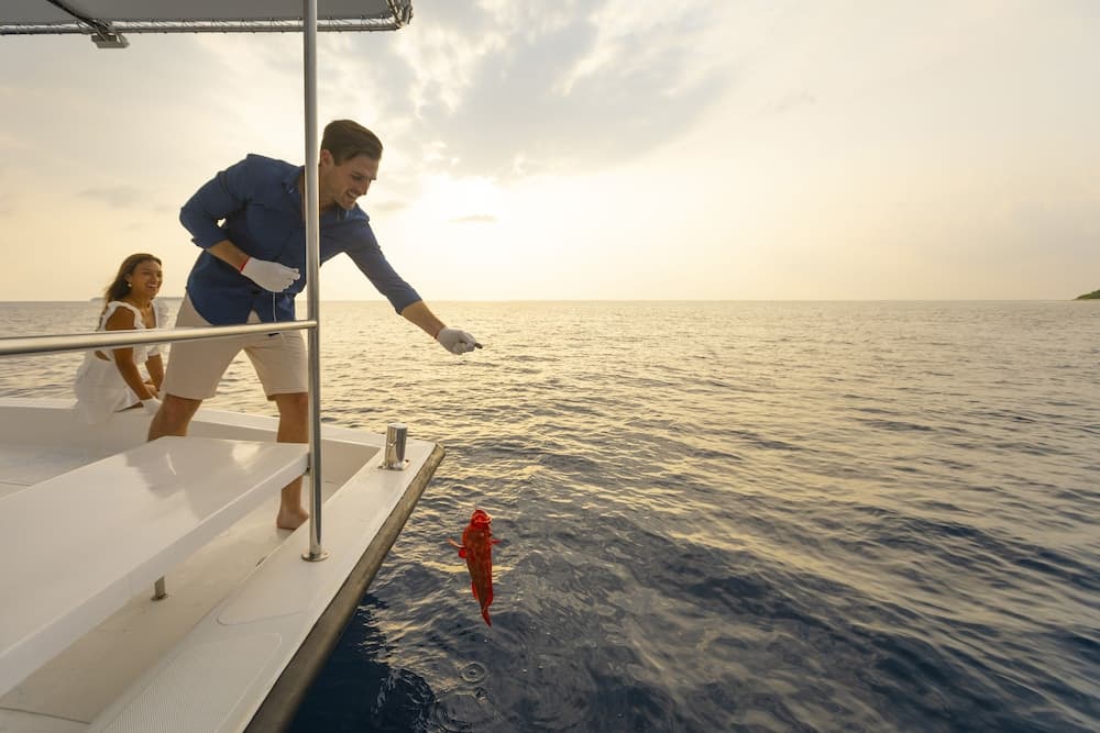 Emerald Faarufushi Resort & Spa - View 215