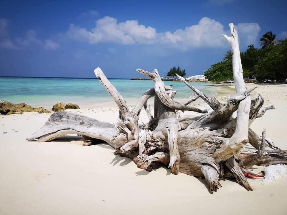 String Wave Maldives - View 38