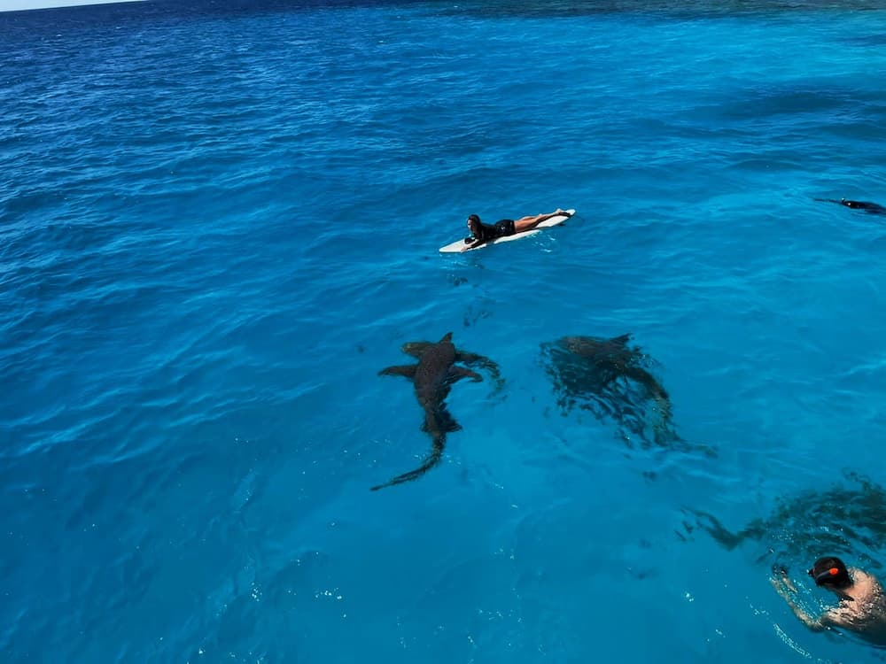 Adroit Beach Inn - View 51