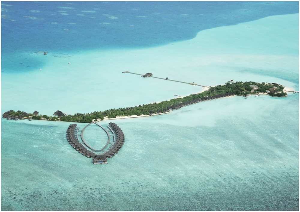 Taj Exotica Resort And Spa - View 145