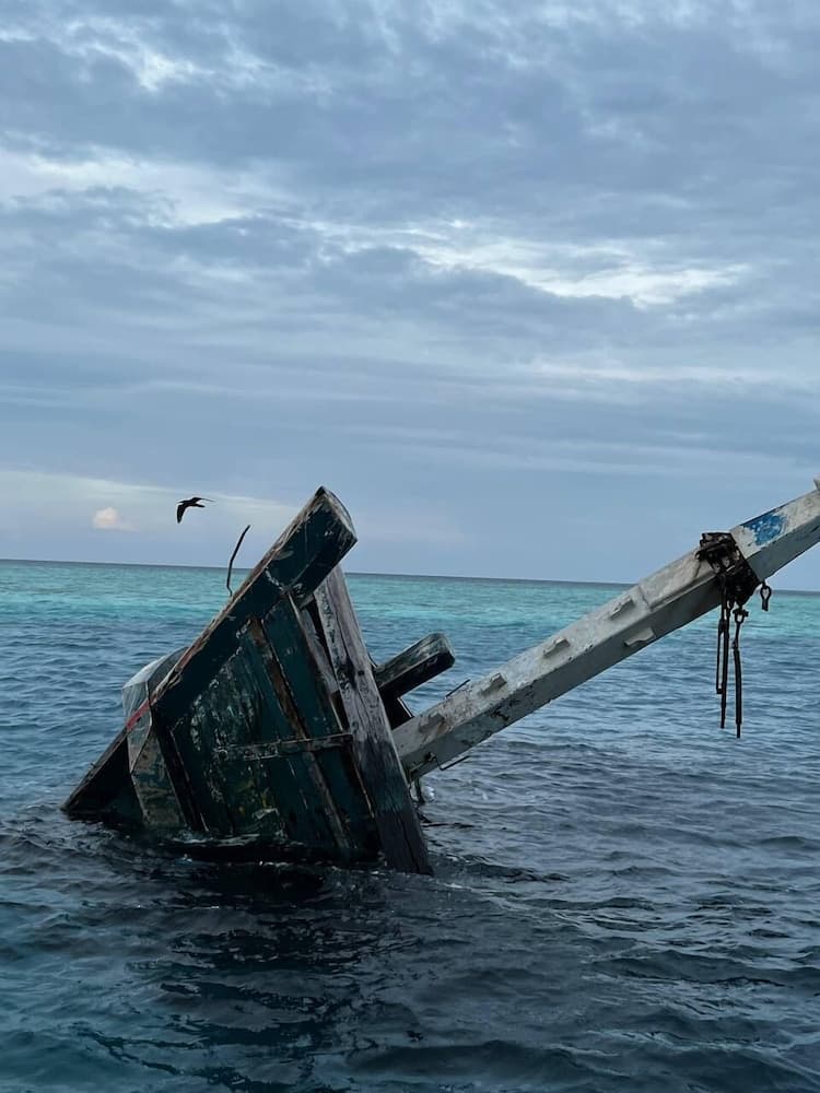 Vaali Maldives Island Escapes & Dive - View 34