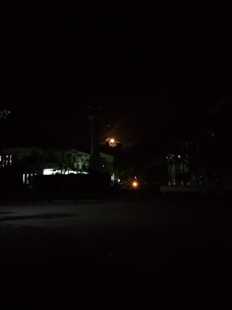 Amber Terrace lot.11125 R-1509 - View 22