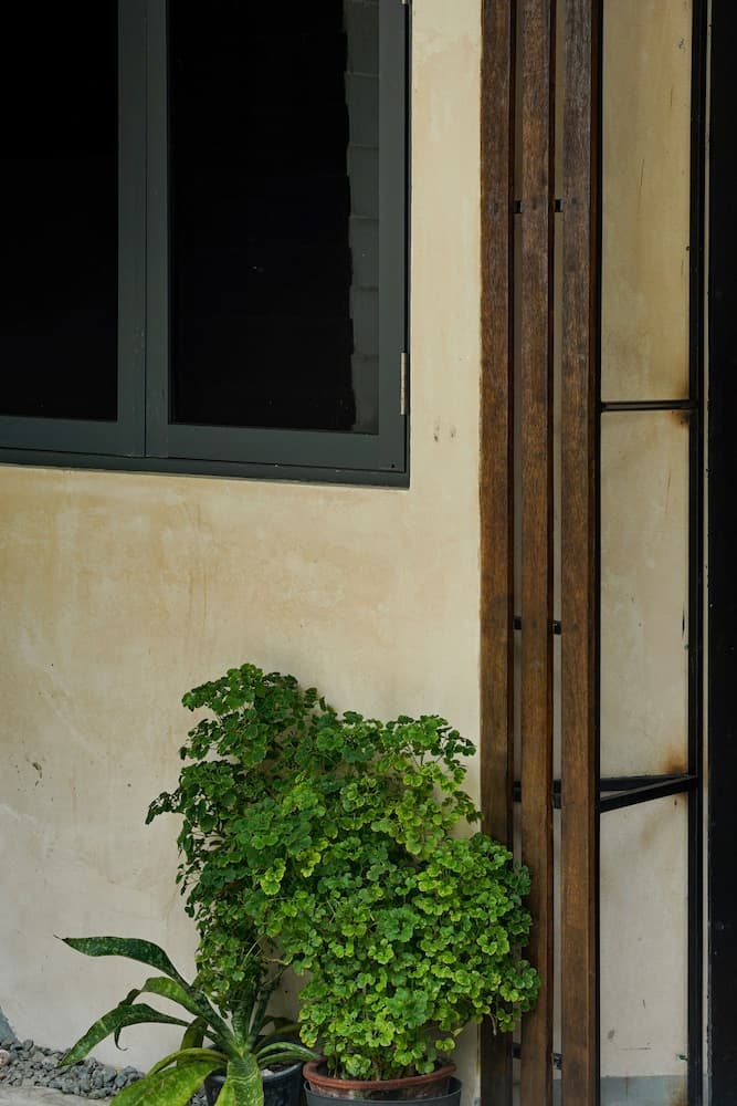 Zinnia Villa - View 61