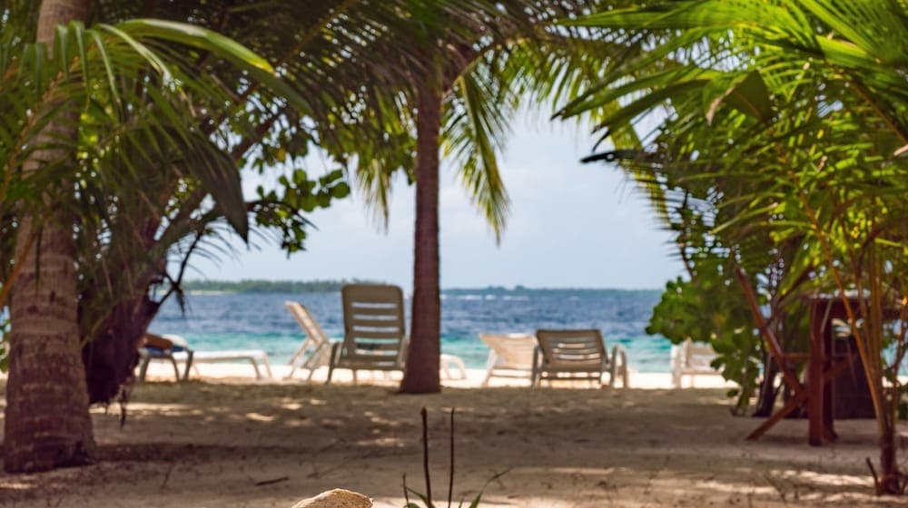 LVIS blancura - View 14