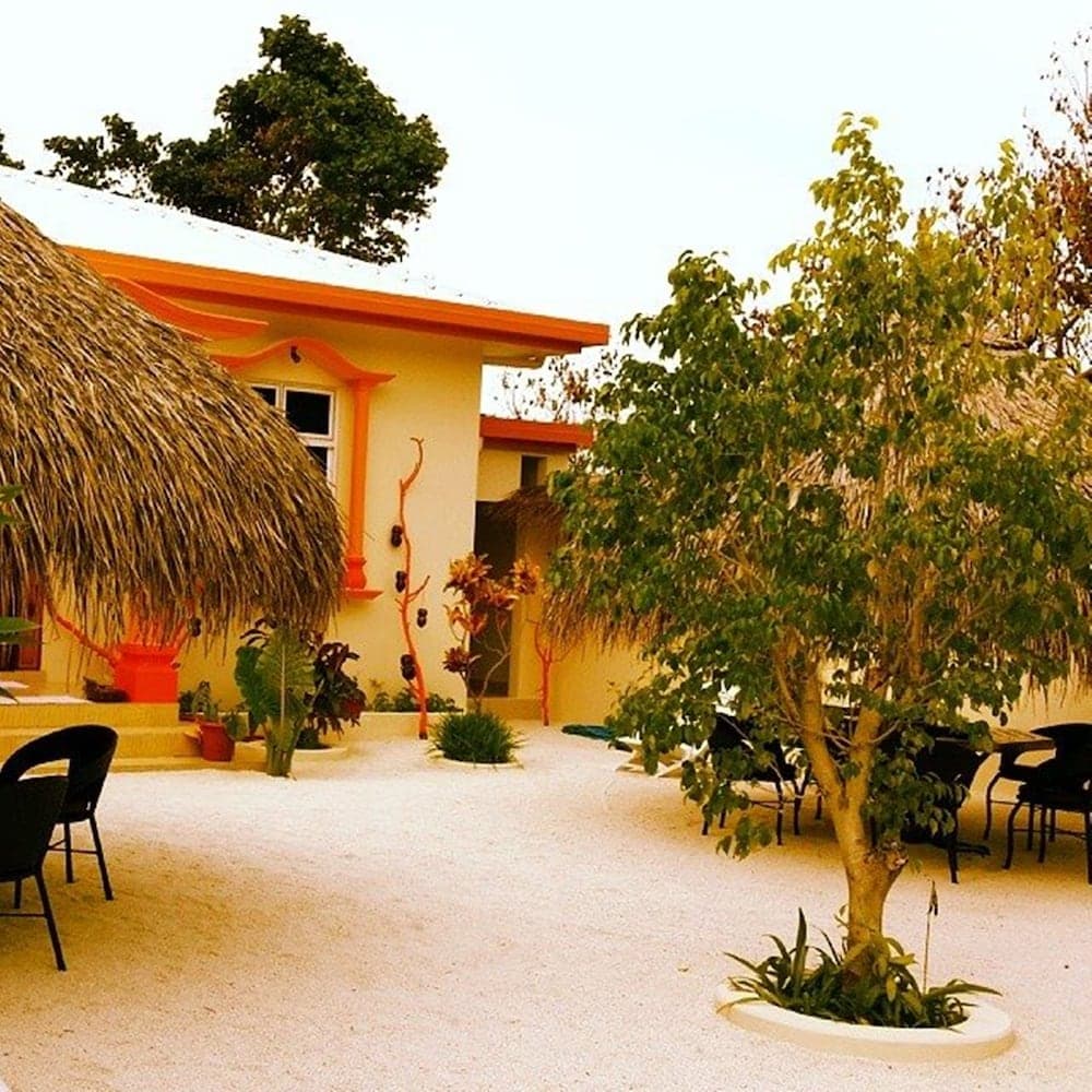 Rasreef Rasdhoo Maldives - View 4