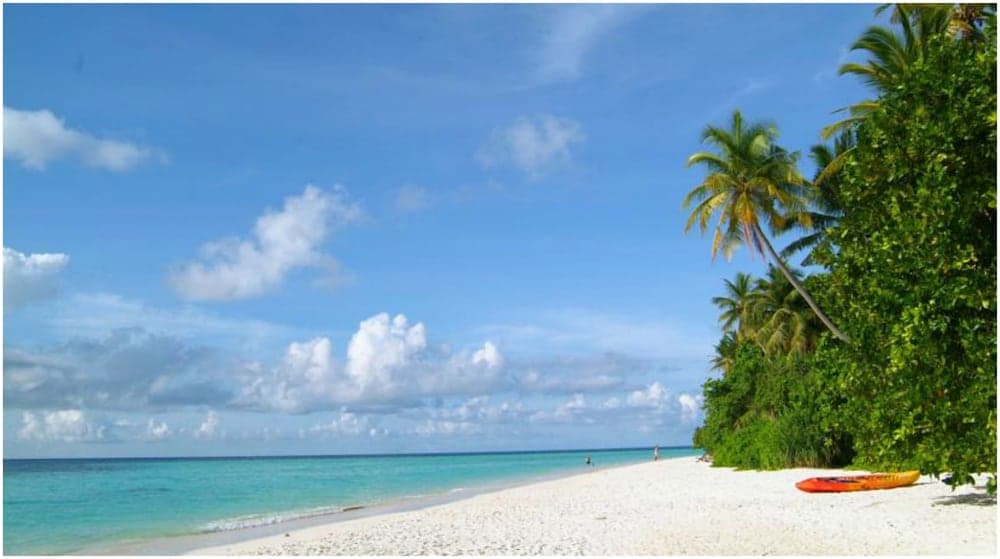 Biyadhoo Island Resort - View 42