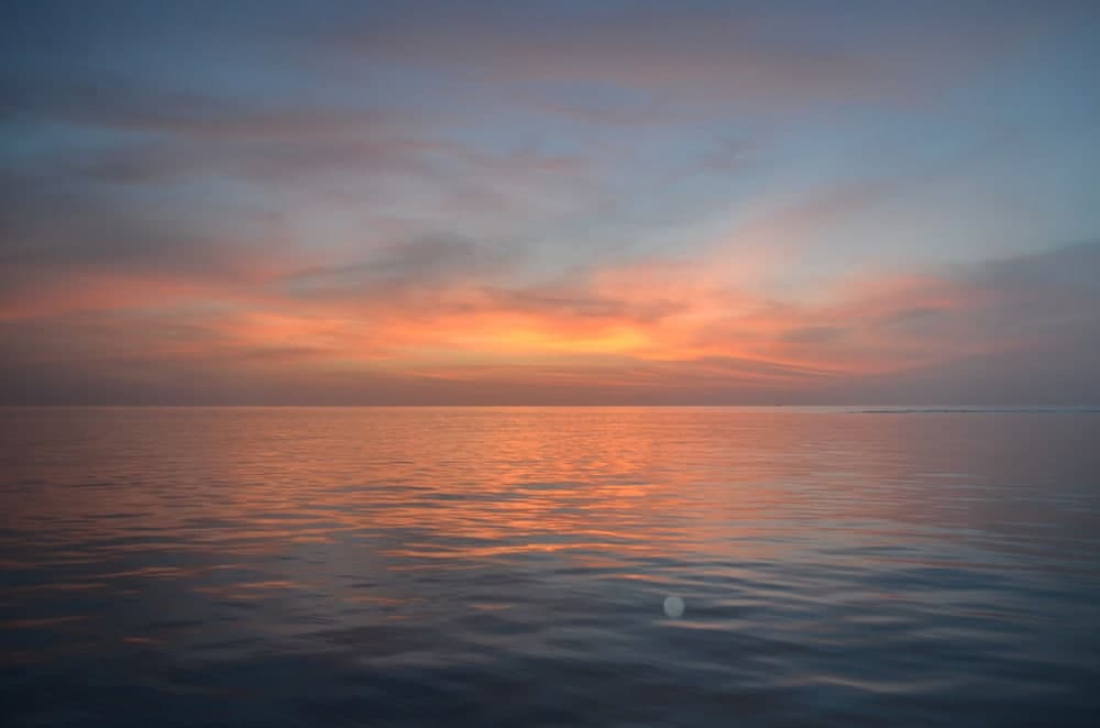 Ocean Beach Maldives - View 10