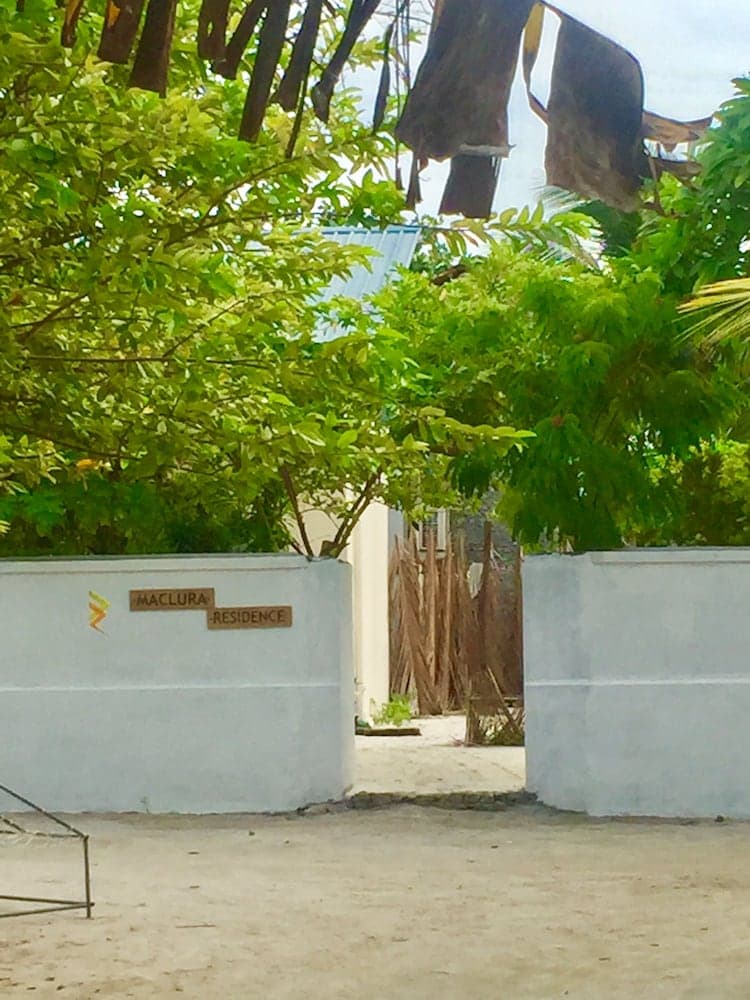 Maclura Residence - View 19