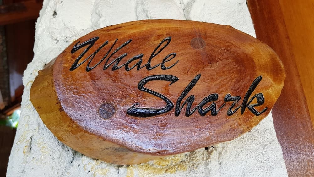 Blue World Dharavandhoo - View 20