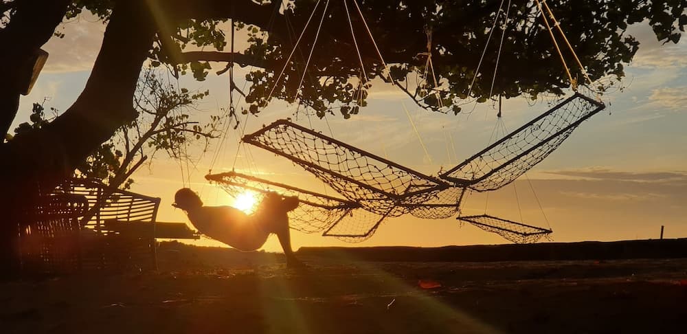 ilaa Beach Maldives - View 64