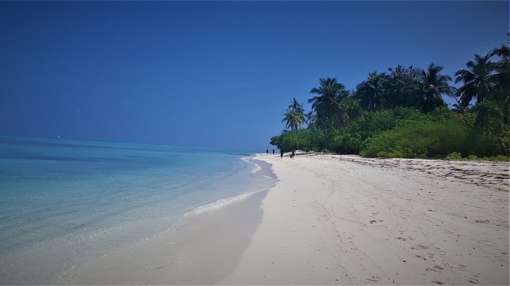 Explore Island Inn - View 2