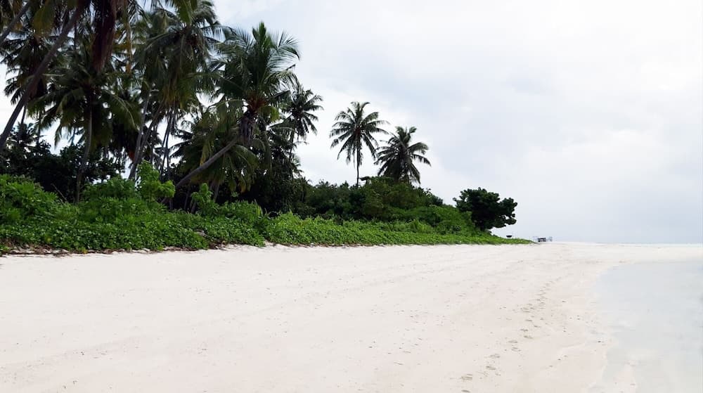 Endheri Sunset - View 63