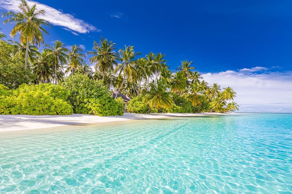 Sun Siyam Vilu Reef - All Inclusive - View 60