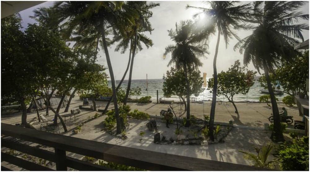 Salt Beach Hotel - View 69