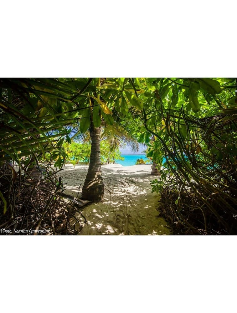 Thoddoo Beach View by Vista - View 7