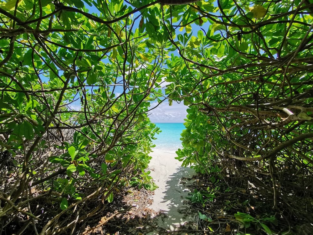 Village Hideaways & Spas - View 3