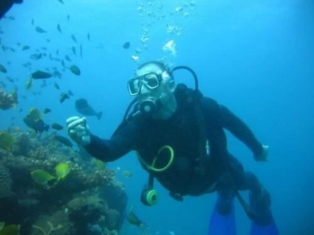 Hotel Elite Inn - View 26