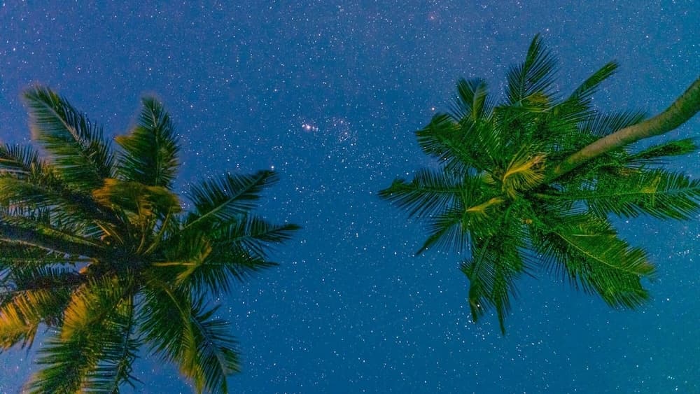 Nazaki Beach Hotel & Spa Maldives - View 36