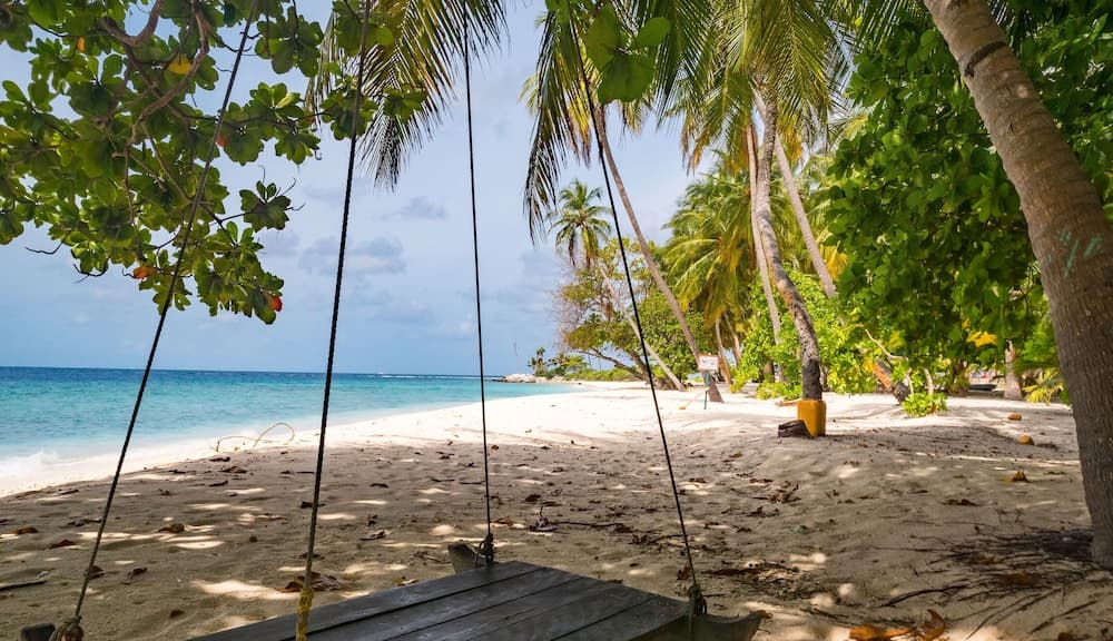 LVIS blancura - View 11