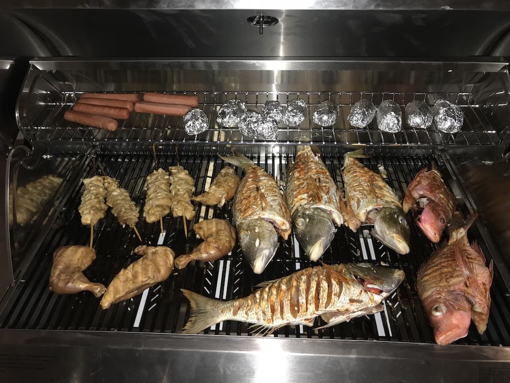 Olive Goidhoo - View 40