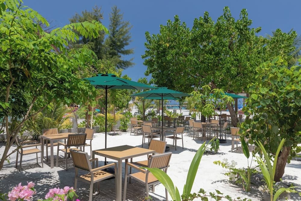 Arrival Beach and Spa at Gulhi - View 36