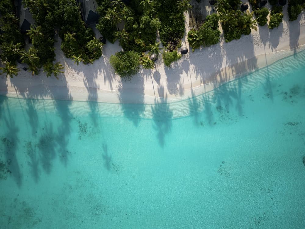 NH Collection Maldives Havodda Resort - View 32