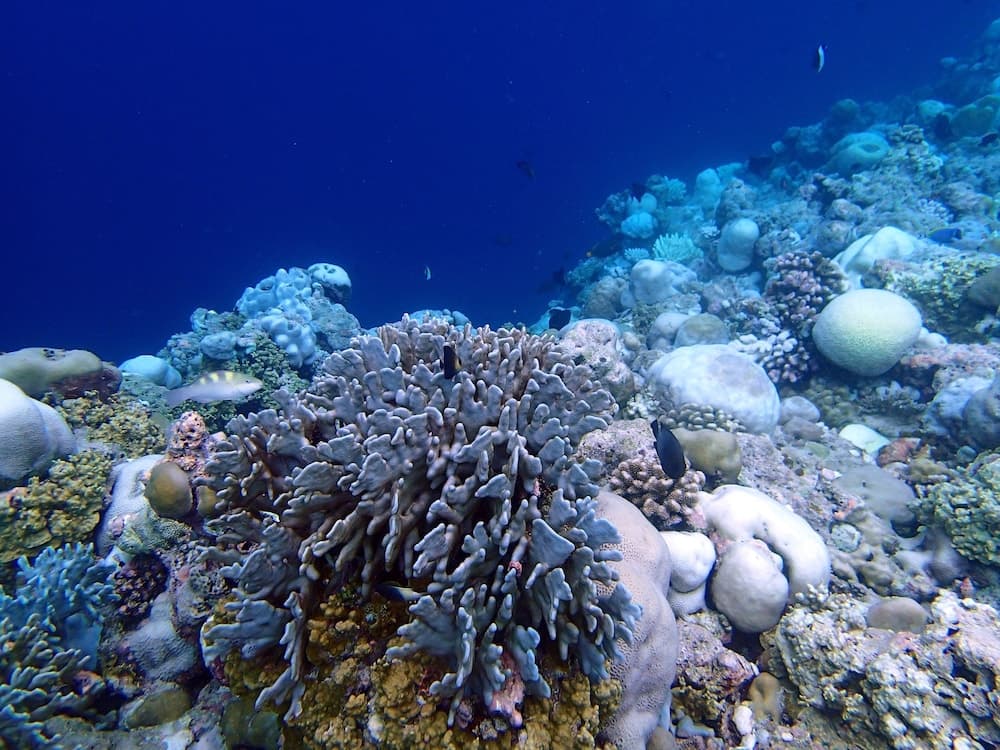 Wunderbar Inn - View 14