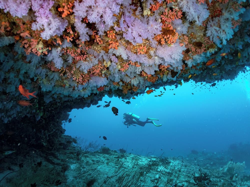 Eriyadu Island Resort - View 32