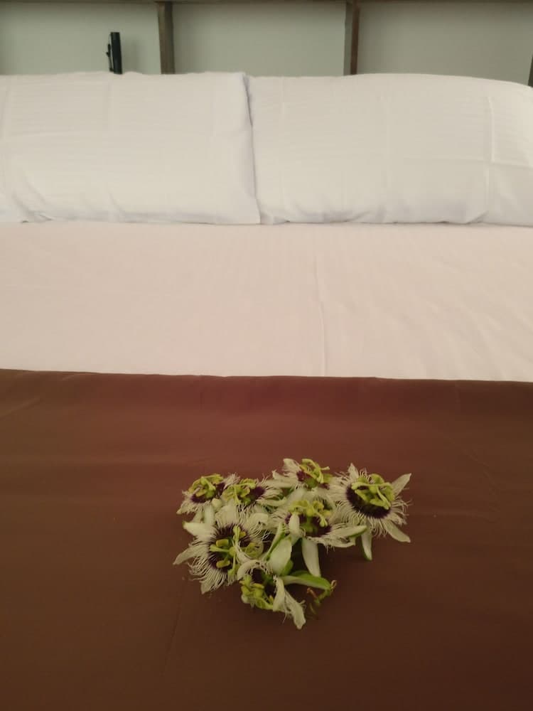 Baivaru Guesthouse Services - View 23