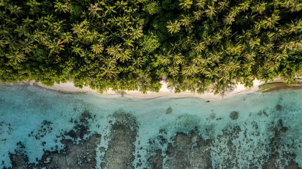 Whaleshark Beach - View 15