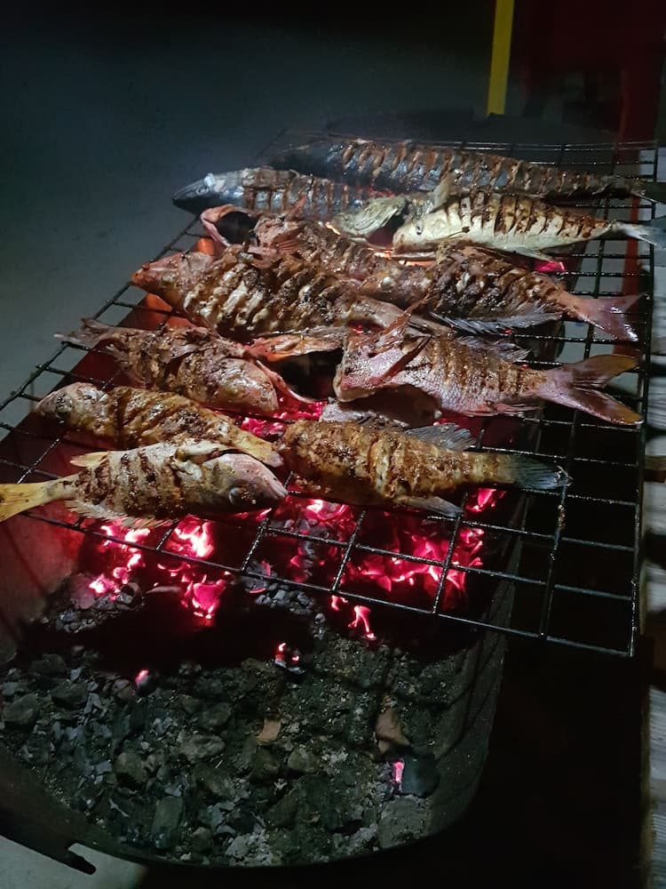 Hibiscus Holidays - View 13