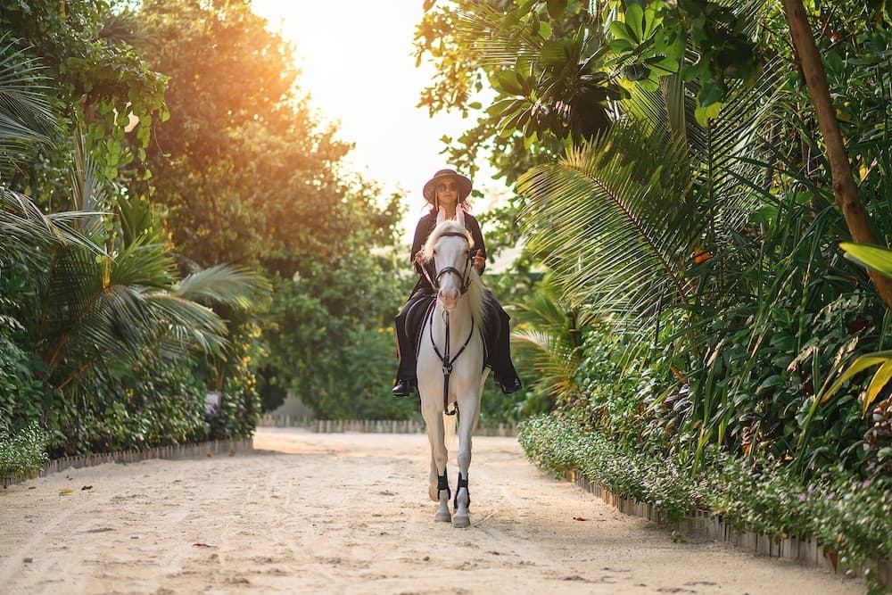 Siyam World Maldives - 24-Hour Premium All-inclusive with Free Transfer - View 214