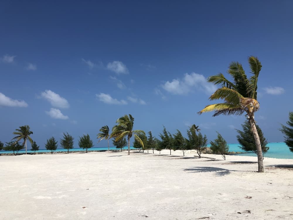 Old Town Inn - View 19