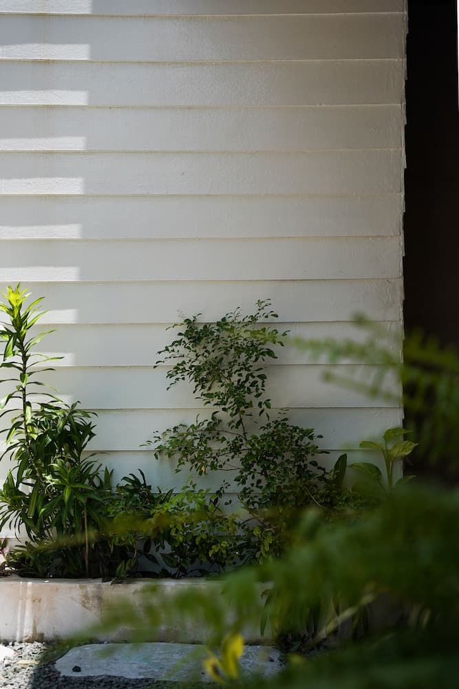 Zinnia Villa - View 62