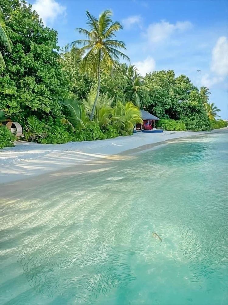 Ale sara guest house - View 4