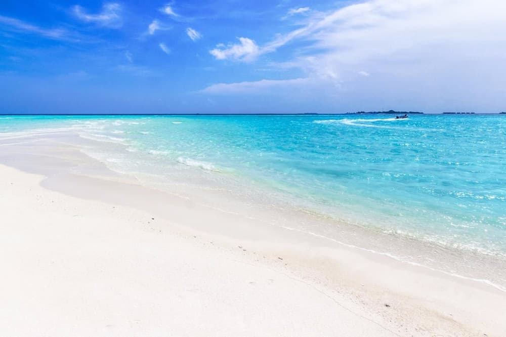 Castle Inn - View 20