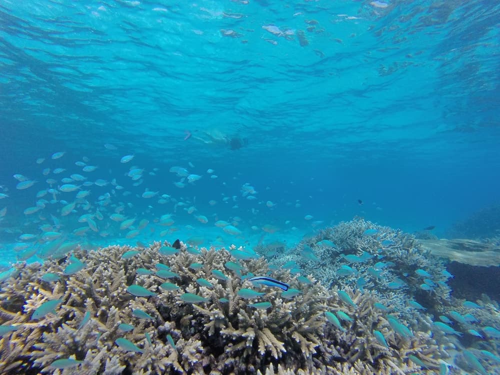 Starry Night At Ukulhas - View 68