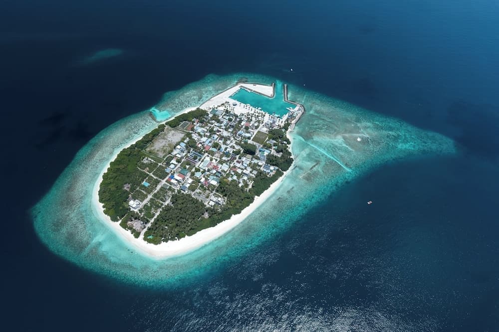 Nest by Hawks Hotels Kamadhoo Baa Atoll - View 16