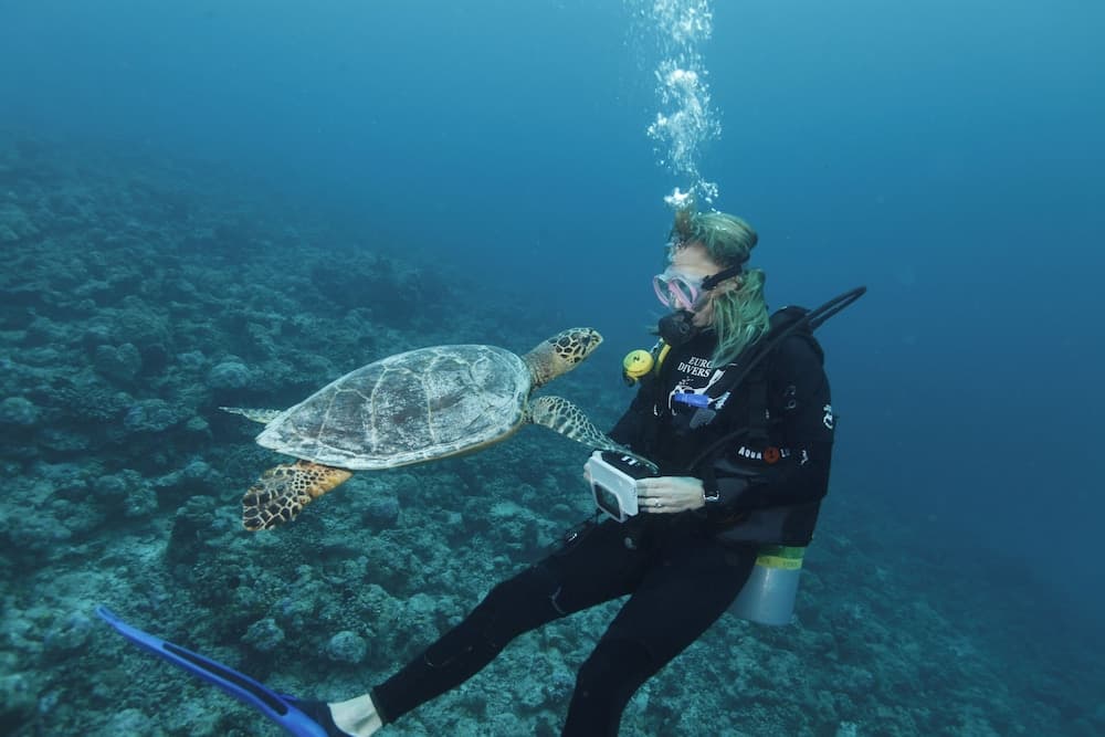 Eriyadu Island Resort - View 33