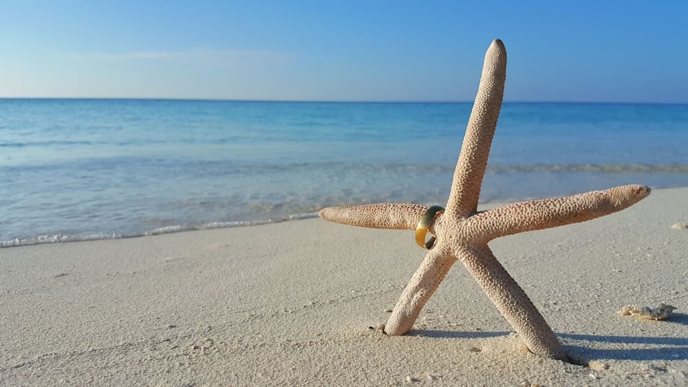 Jerrys Dive Lodge - View 11