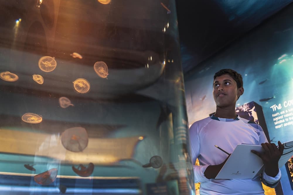 Four Seasons Maldives at Landaa Giraavaru - View 21