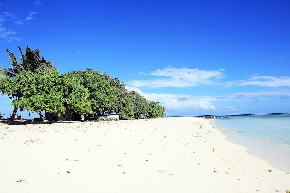Tropic Tree Hotel Maldives - View 51