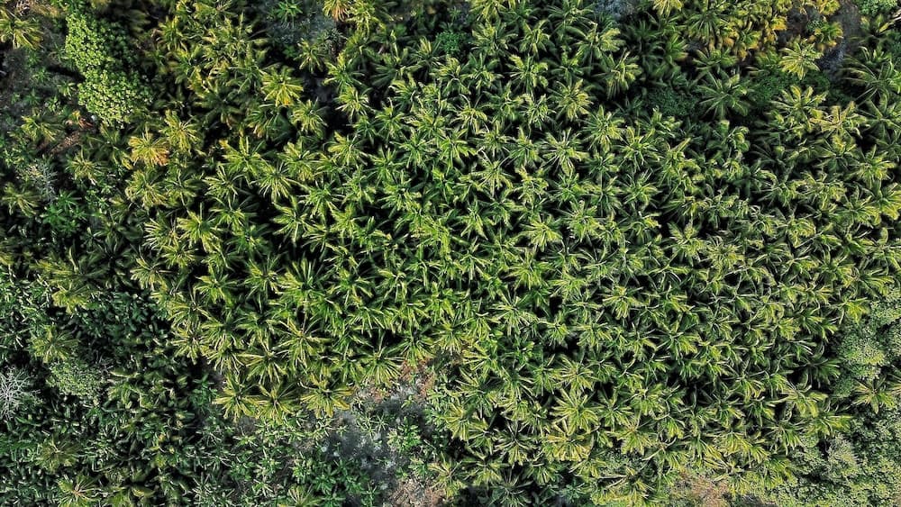 Global Residence - View 35