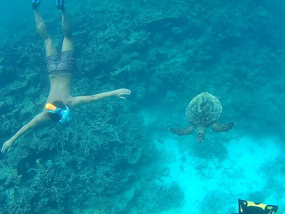 Crown Beach Hotel Maldives - View 34