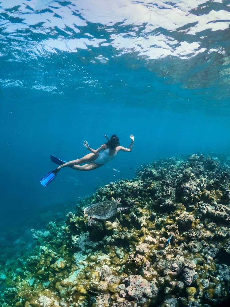 Jumeirah Olhahali Island - View 133