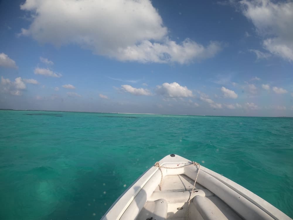 Sevinex Inn - View 4