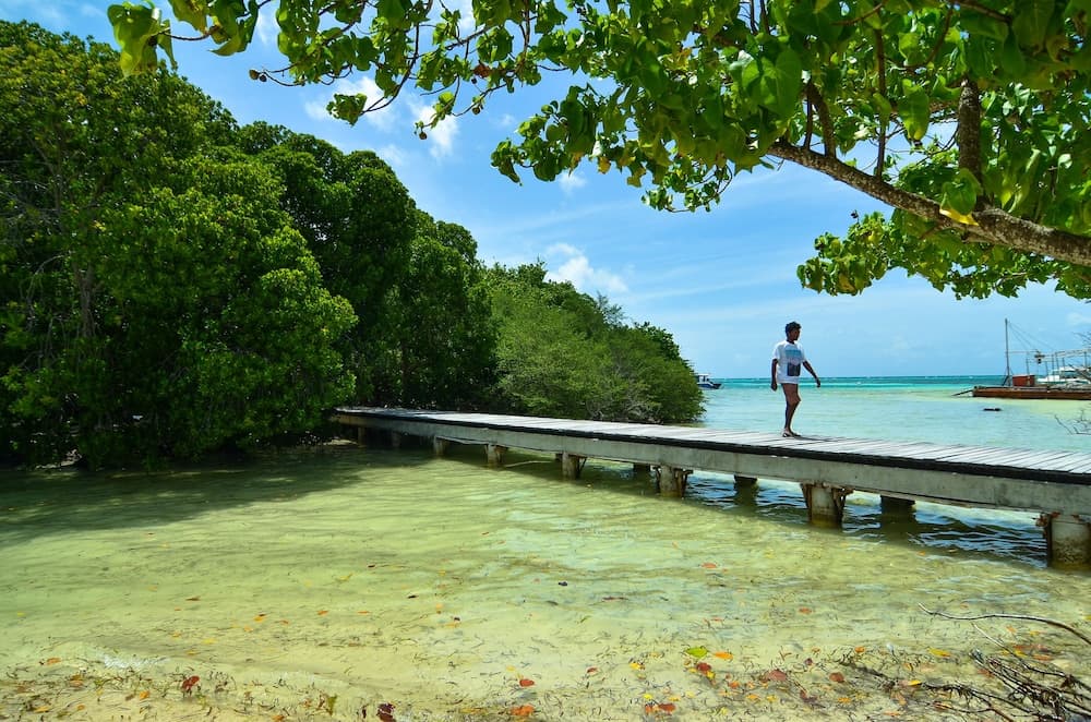 Huraa East Inn - View 6